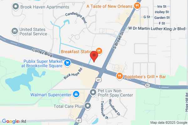 AutoZone Auto Parts