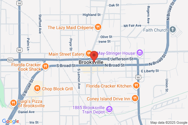 Hernando County of, Tax Collector