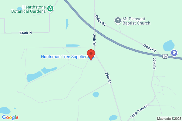 Huntsman Tree Supplier