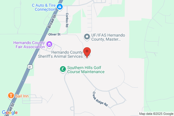 Hernando County of, Code Enforcement, Animal Services