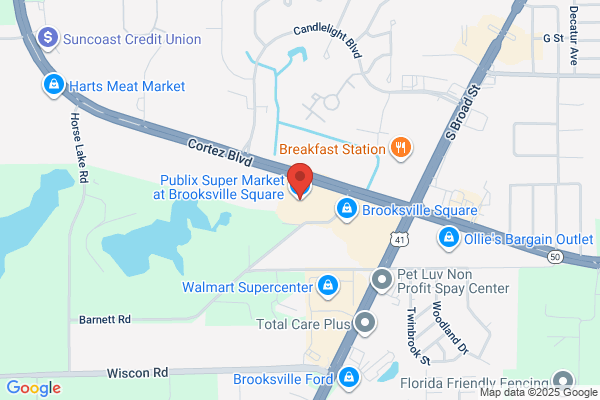 Publix Super Market at Brooksville Square