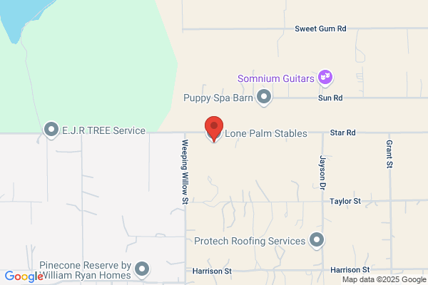 Lone Palm Stables