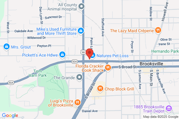 Springstead Gerald W DDS PA