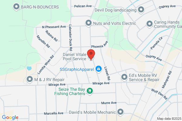 Daniel Vitale Pool Service