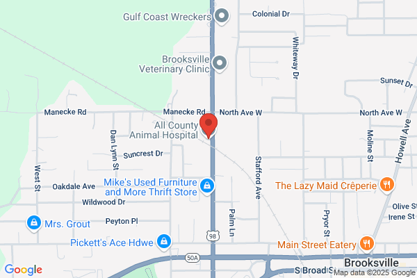 All County Animal Hospital