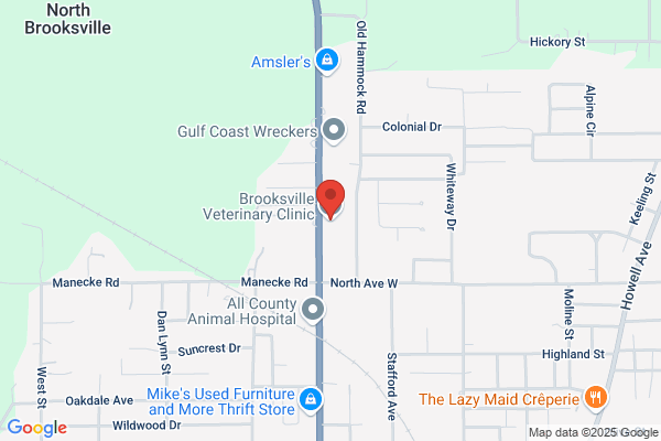 Brooksville Veterinary Clinic