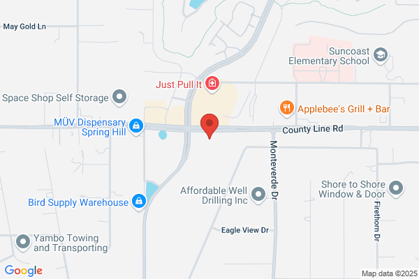 AutoZone Auto Parts