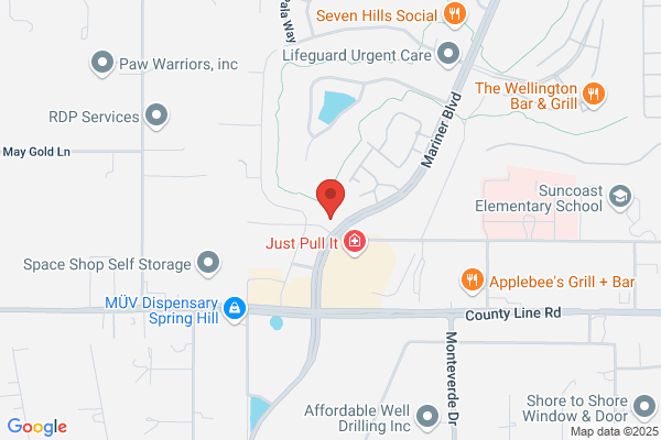 All Pediatric Care Spring Hill