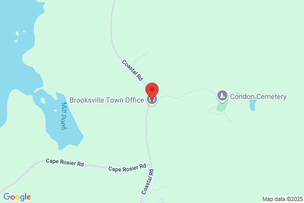 Brooksville Town of, Library