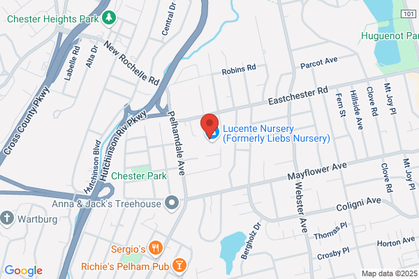 Lucente Landscaping