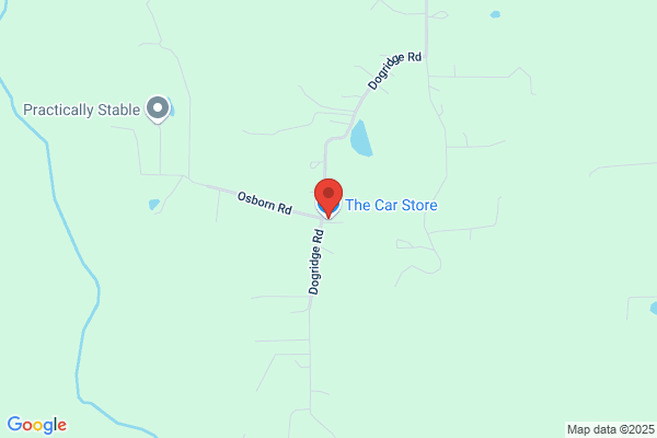 Car Store the -, Sales