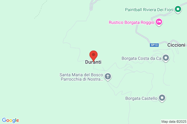 Duranti Domenic