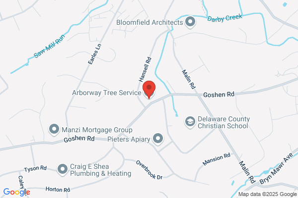 Thomas Vizzard Tree Service & Landscaping