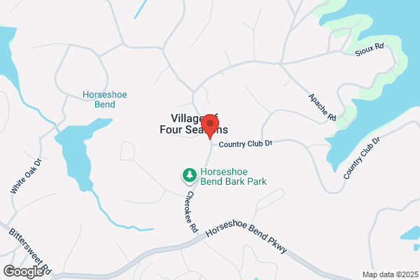 Village of the Four Seasons Inc