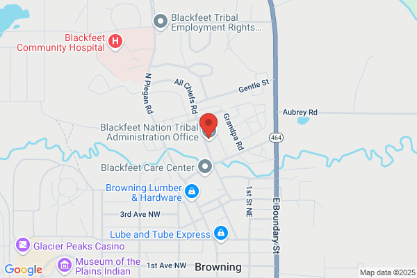 Blackfeet Buffalo Horse Coalition