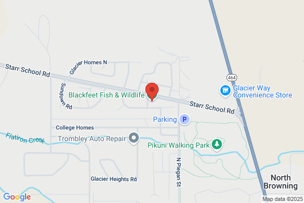 Blackfeet Indian Nation, Browning, Fish & Wildlife