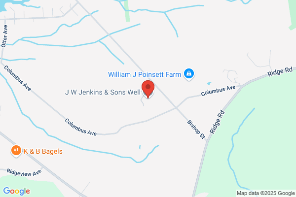 J W Jenkins &Sons
