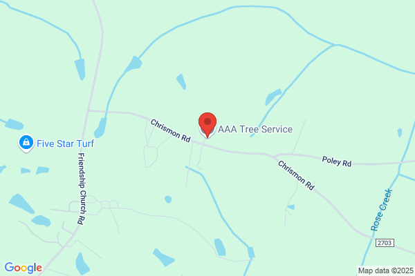 AAA Tree Service