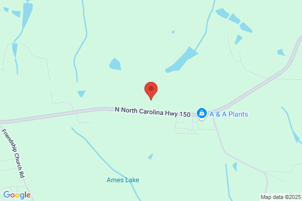 Carolina Equine Hospital
