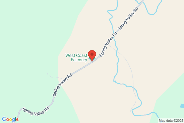 West Coast Falconry
