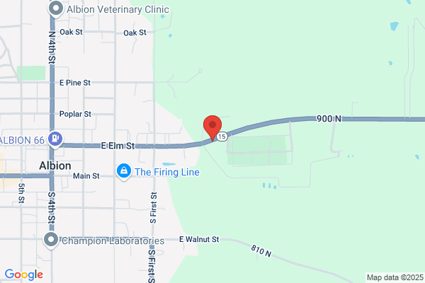 Colyer Performance