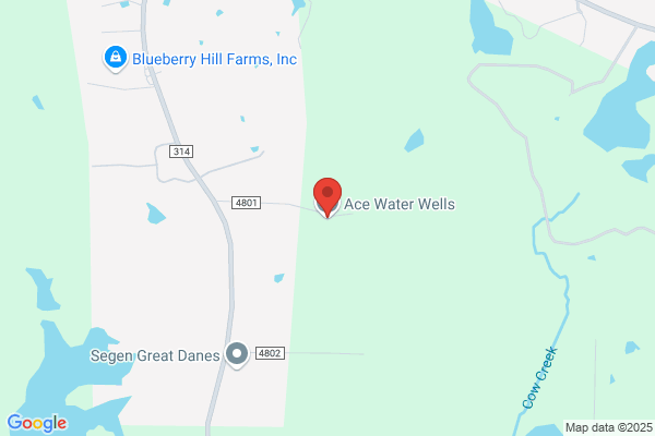 Ace Water Well