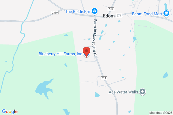 Blueberry Hill Farm & Nursery