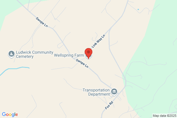 Wellspring Farm Dog Daycare and Boarding