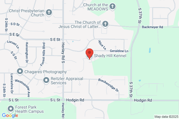 Shady Hill Kennel