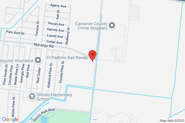 Olmito Bail Bonds