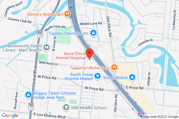Boca Chica Animal Hospital