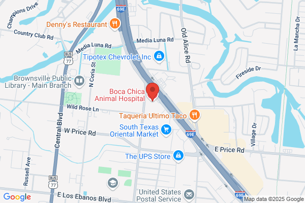 Boca Chica Animal Hospital