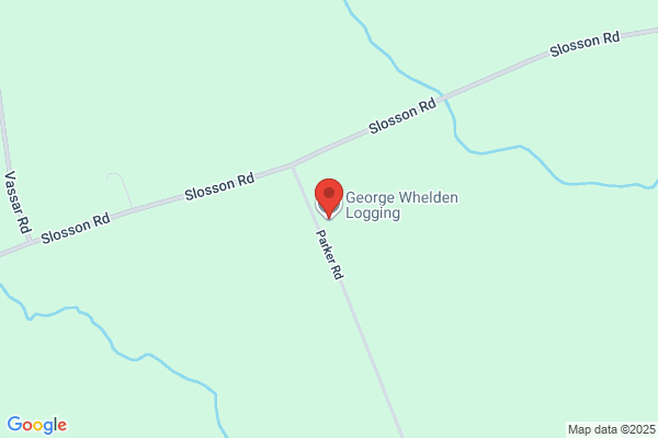 Eddy George Logging