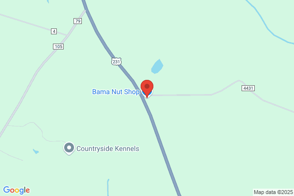 Bama Nut Shop