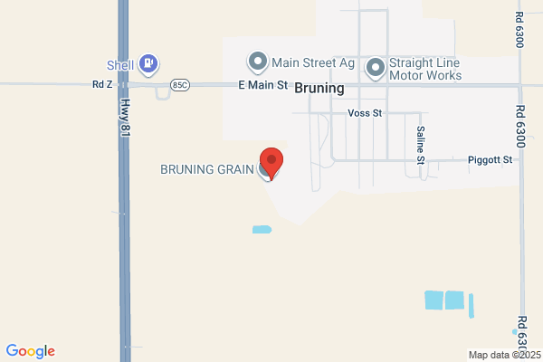 Bruning Grain & Feed Co Inc