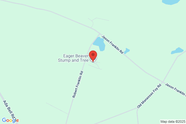 Eager Beaver Tree Company