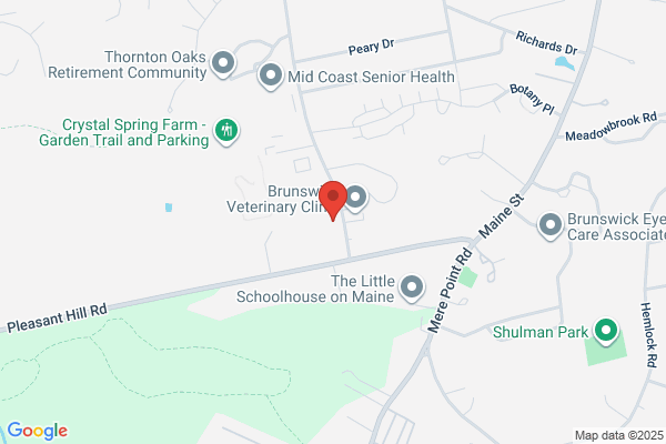 Coastal Maine Pediatric Dentistry