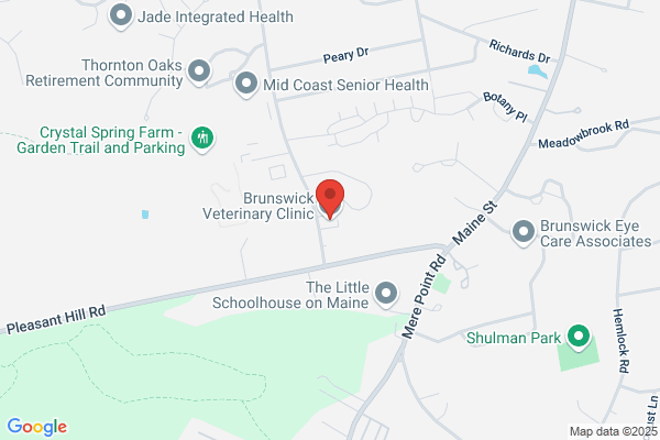 The Veterinary Clinic