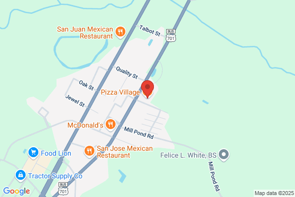 Pizza Village