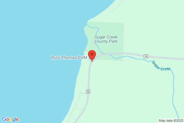 Rutz Thomas Dr