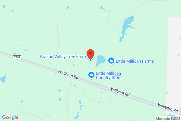 Brazos Valley Nursery