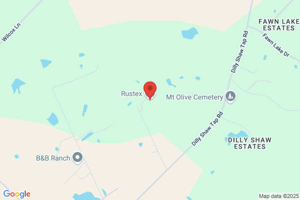 Rustex Inc