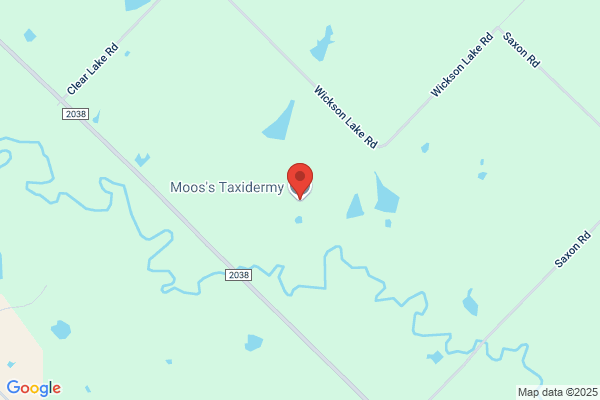 Moos's Taxidermy