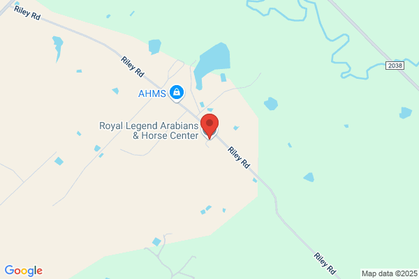 Royal Legend Arabians & Horse Center