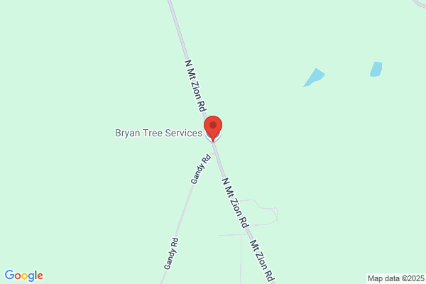 Hill Tree Surgeons