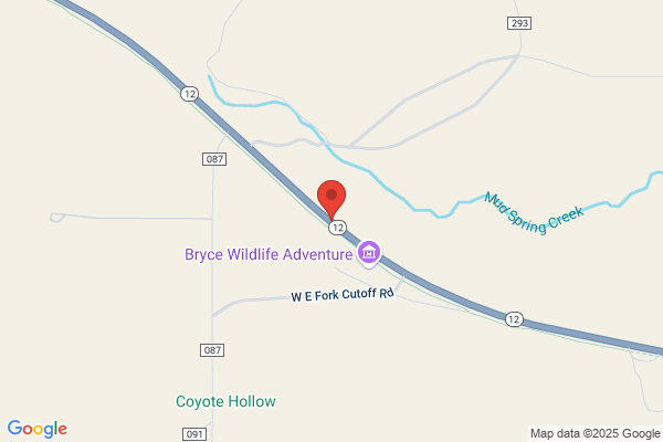 Bryce Wildlife Adventure