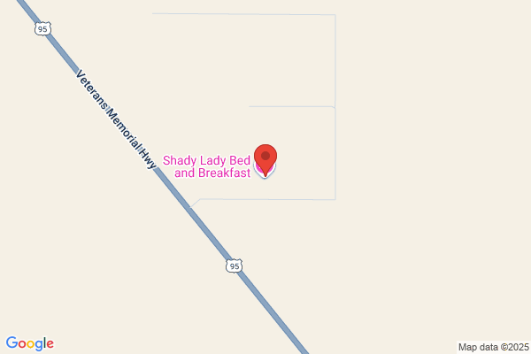Shady Lady Inc