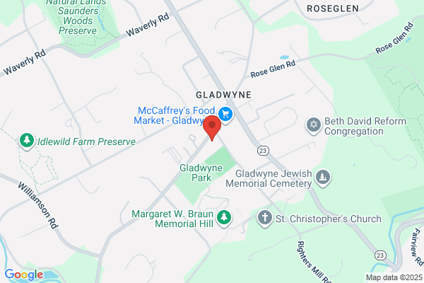 Gladwyne Village Lunch