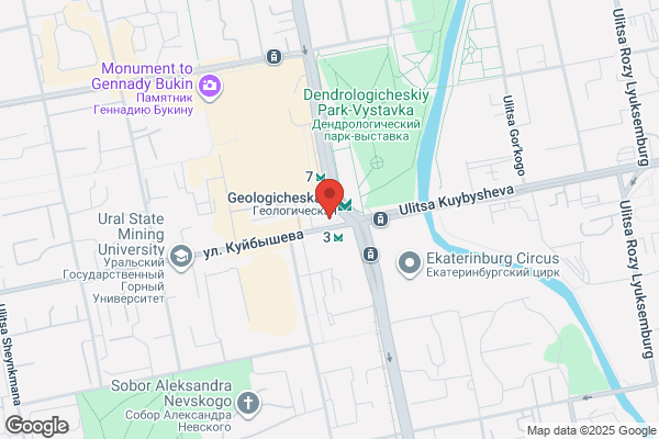 Absolute Wildlife Control