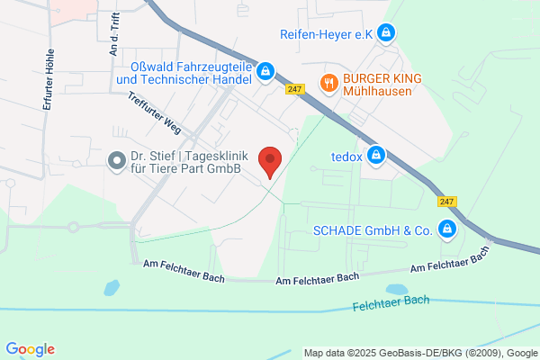Ark Pool Construction